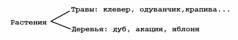 акация это фасоль Копирование