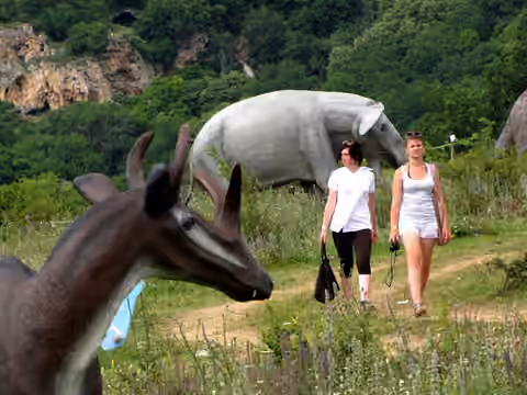 rhinoceros deer
