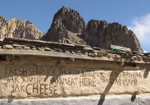 Как правильно: як-йогурт или яковый йогурт? як йогурт и сыр