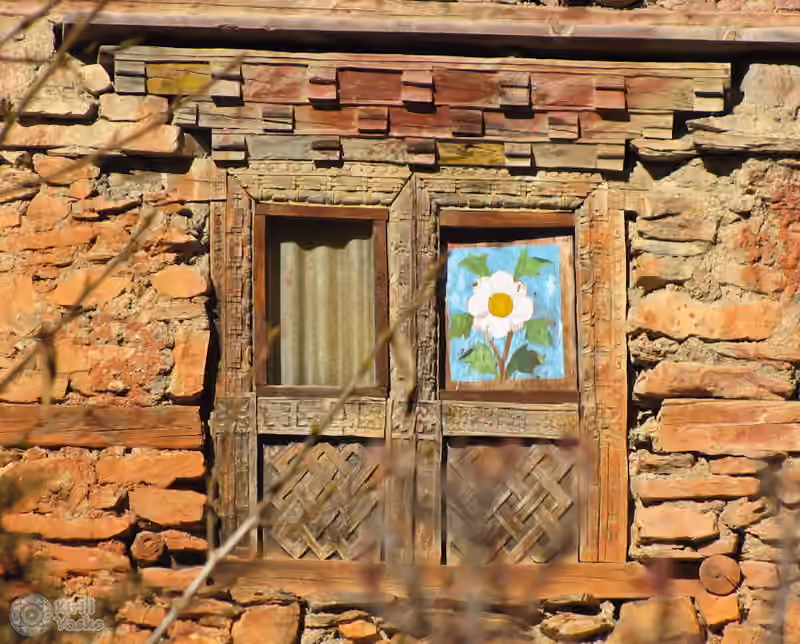 Blume in einem roten Fenster rotes Fenster