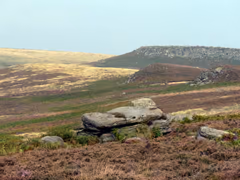 moorland