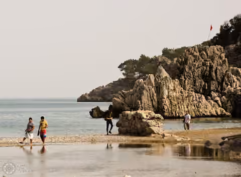 река впадает в море река впадает в море
